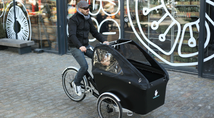 triobike boxter promovec e