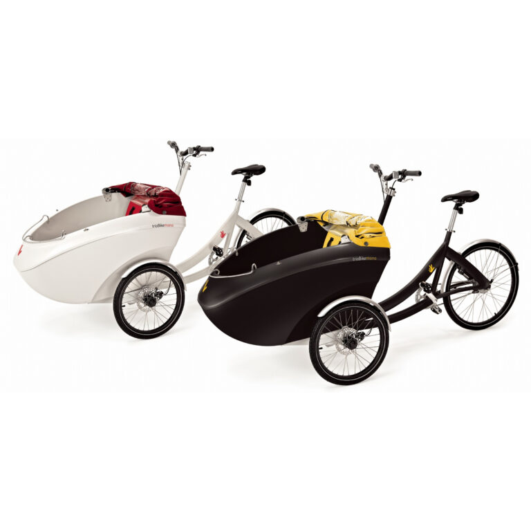 Gomier Trike 2500 Series 20" Cargocycles