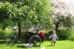 Christiania Classic medium
