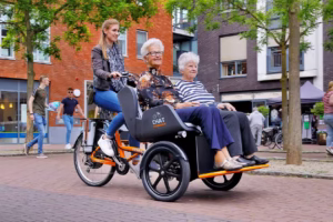 vanRaam Chat Rickshaw