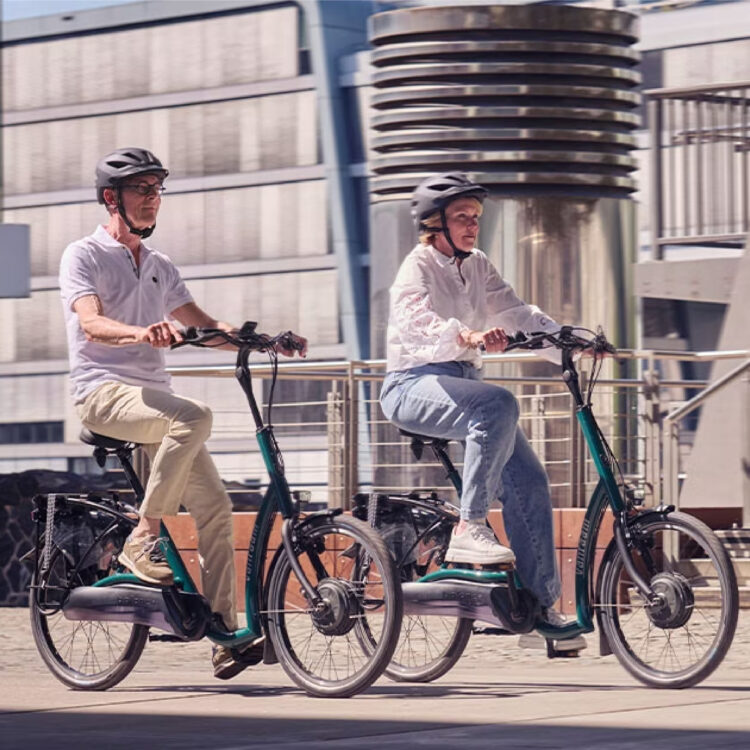 vanRaam Balance E-Bike