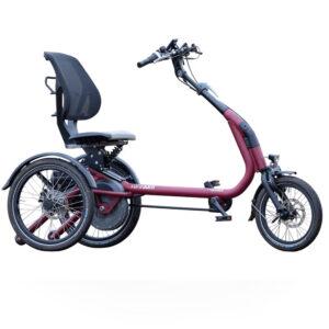 Van Raam Easy Rider Compact Trike