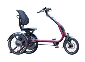 vanraam easy go scooter bike
