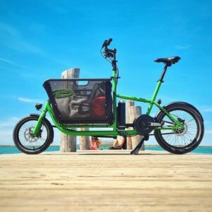 Pendix eDrive Electric Conversion Kit