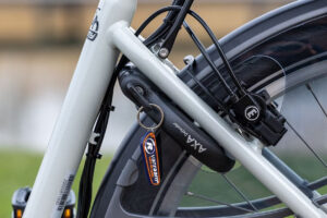 vanRaam Twinny electric tandem