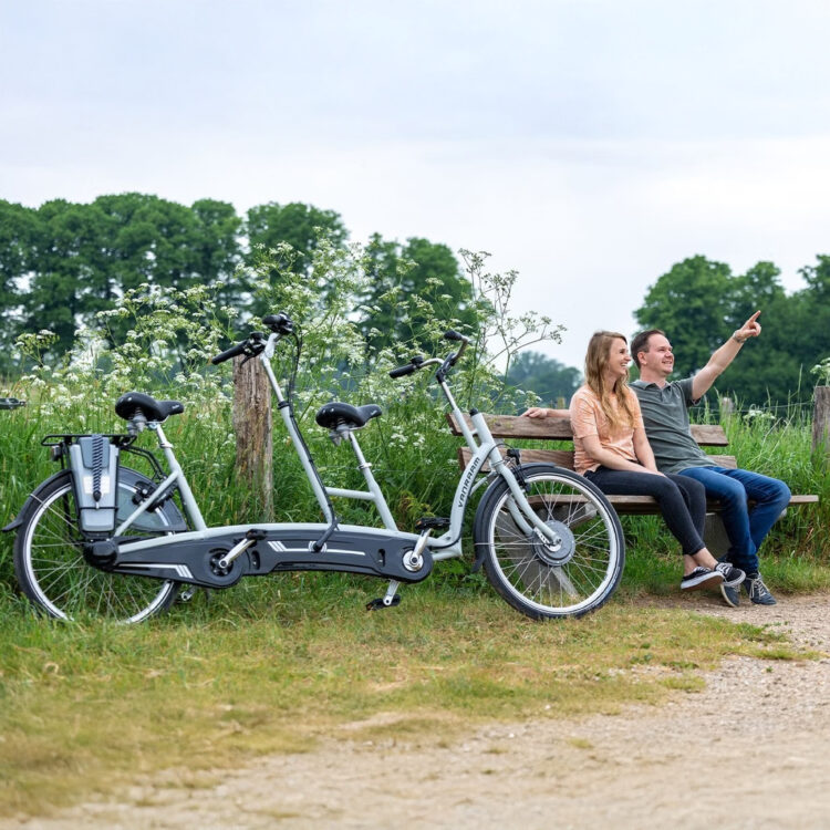 electric-tandem-bicycle-van-raam-twinny vanRaam Twinny