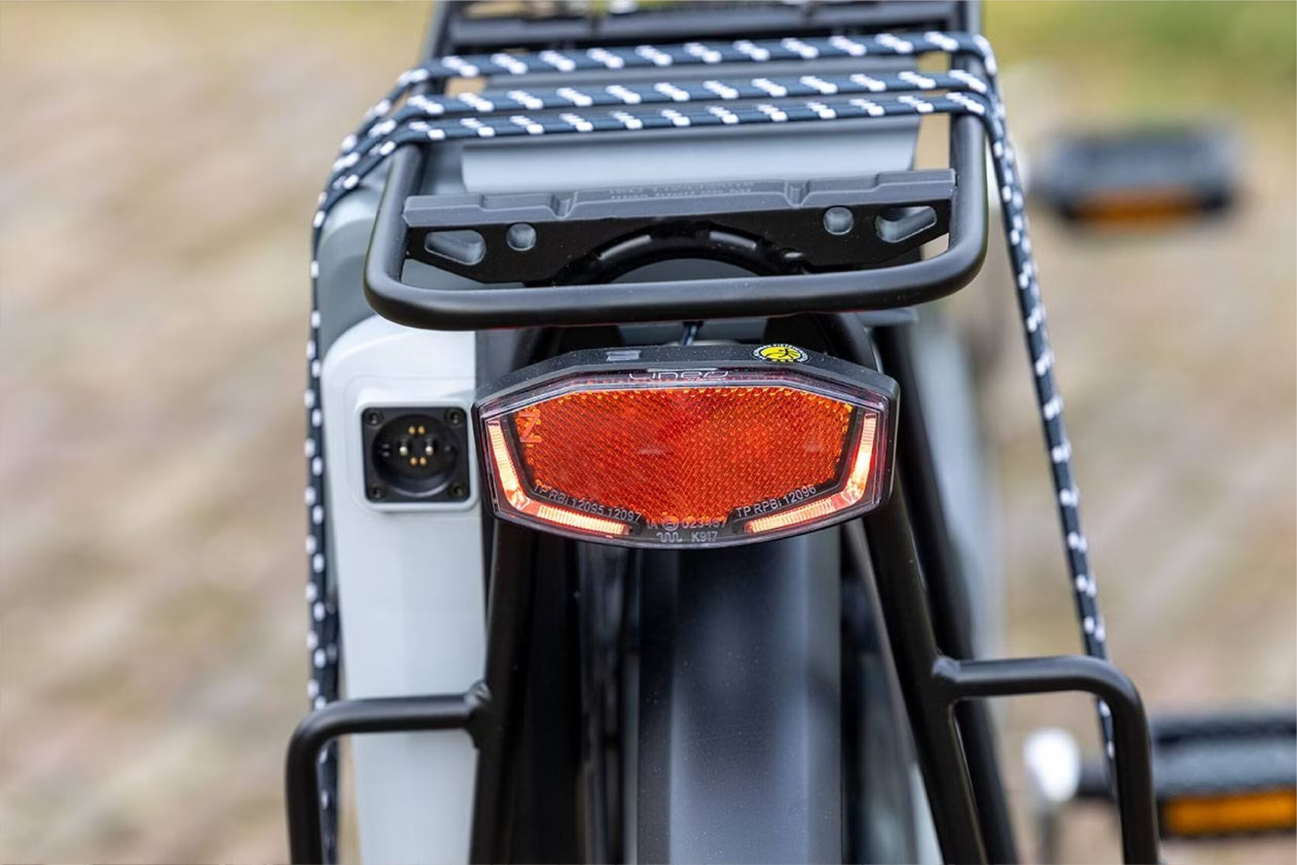 vanRaam Twinny electric tandem