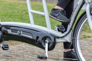 vanRaam Twinny electric tandem