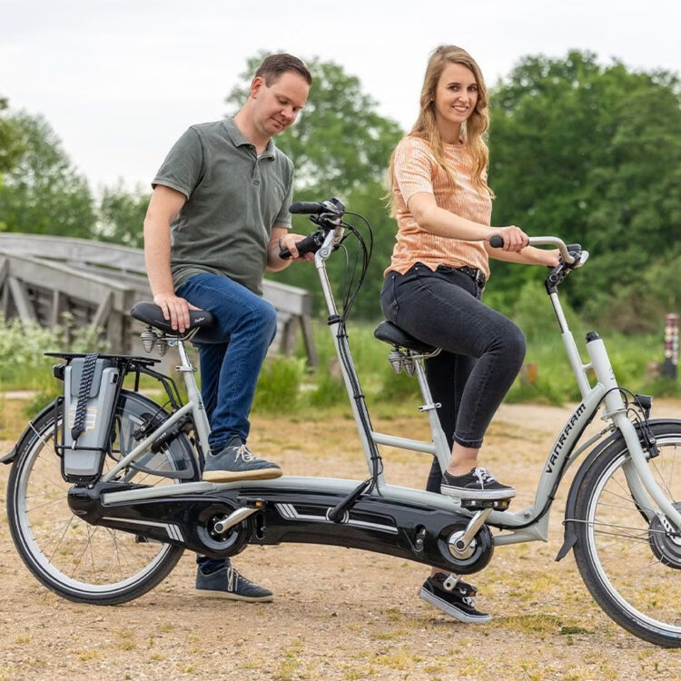 twinny-van-raam-tandem-low-entry