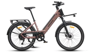 Veloomi Daily V2 Bronze