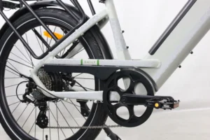 Veloomi Daily