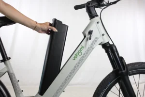 Veloomi Daily