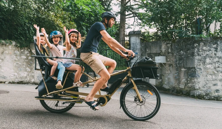 Yuba Mundo Electric EP801-family