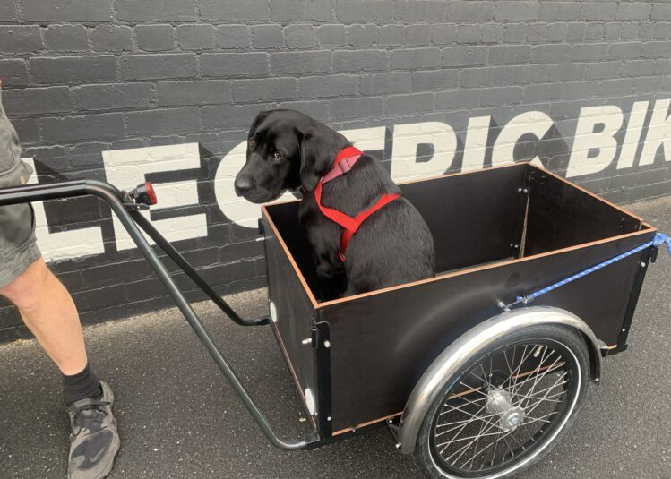 Dog Christiania trailer
