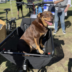 Muli Motor Pendix