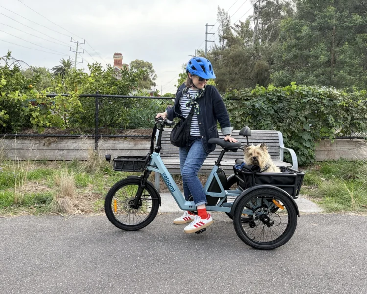 Veloomi-Caddi2-side