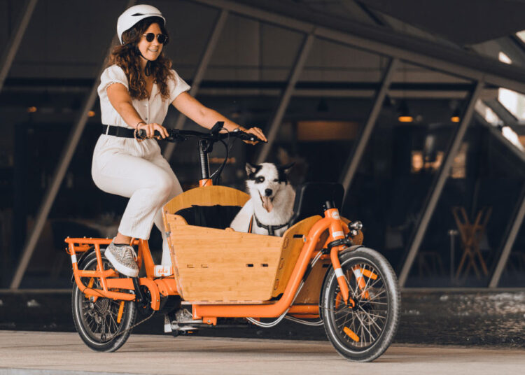 Yuba Bikes Add Ons Bamboo Box Dog