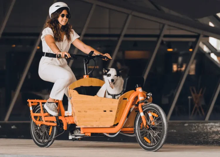 dog in bamboo yuba cargo bike