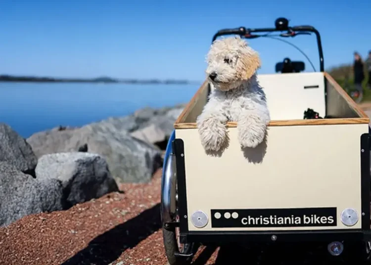 dog in christiania front box bike