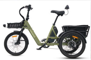 Veloomi Caddi Trike V2