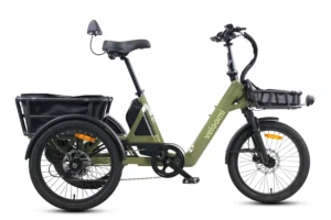 Veloomi Caddi Trike V2