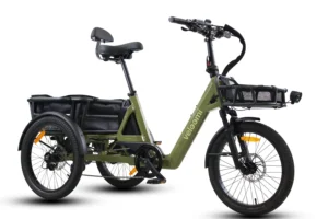 Veloomi Caddi Trike V2