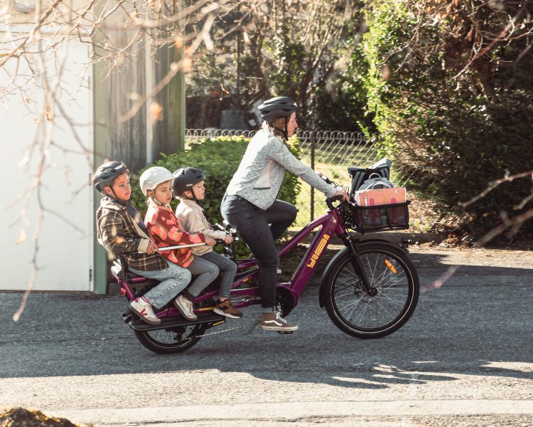 Yuba bikes Spicy curry verry berry ez monkey bars lifestyle hd 1