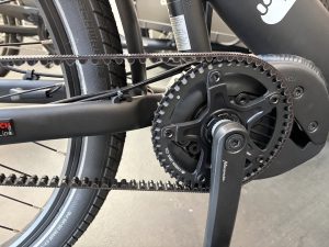 Triobike Taxi - BOSCH - Enviolo Extreme Hub