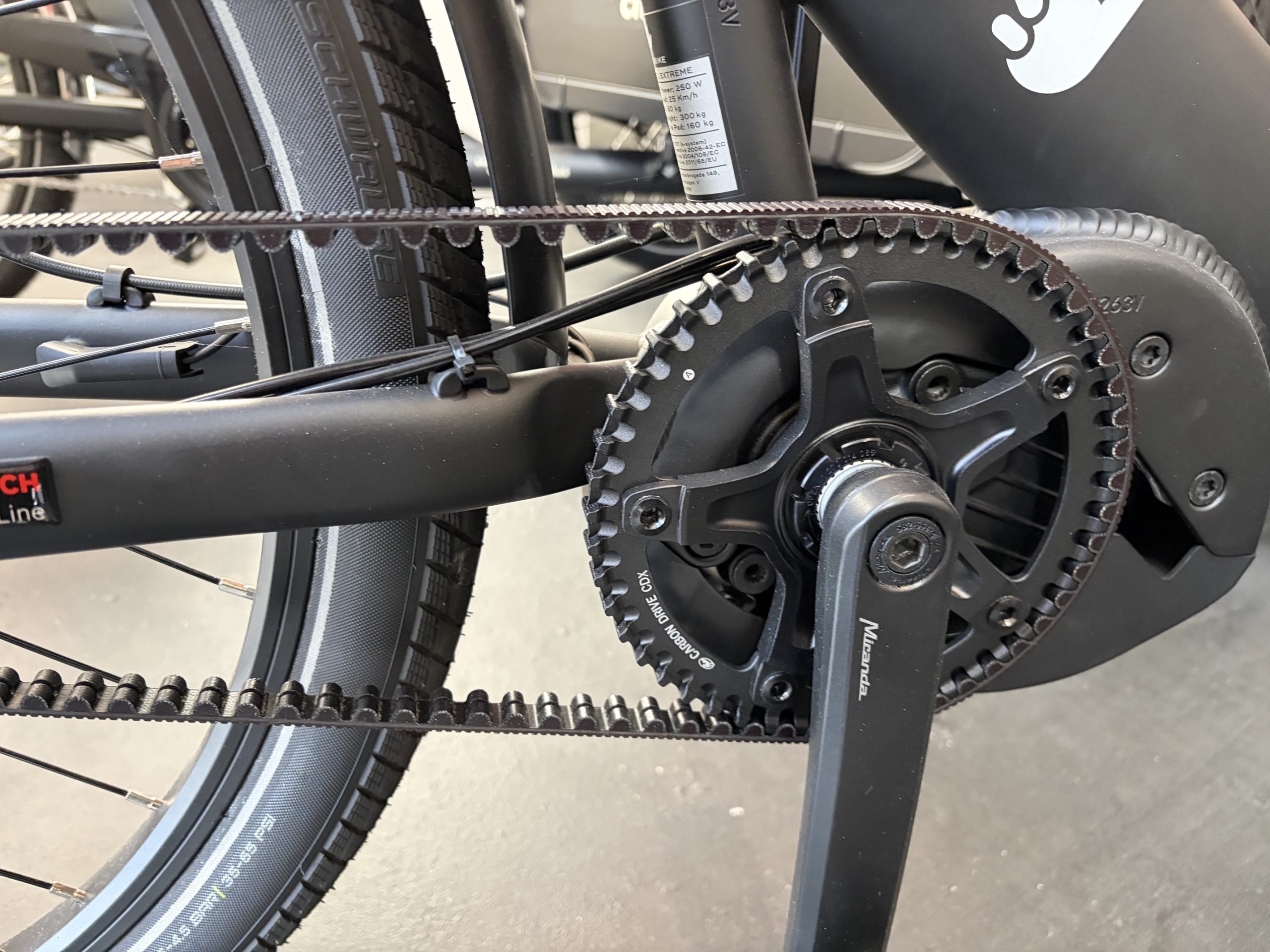 Triobike Taxi - BOSCH - Enviolo Extreme Hub