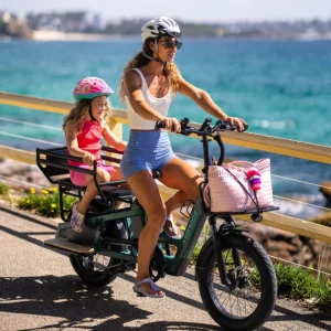 Vamos Amigo Plus cargo bike