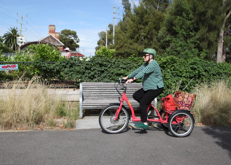 Veloomi Caddi Trike