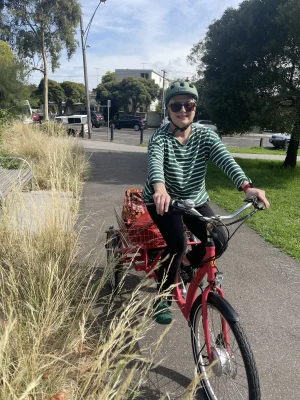 Veloomi Caddi Electric Trike