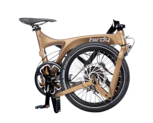 Birdy Touring