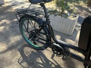 Veloomi Roomi front loading cargo bike