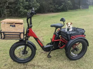 Vamos Papa Grande Trike