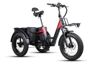 Vamos Papa Grande Trike