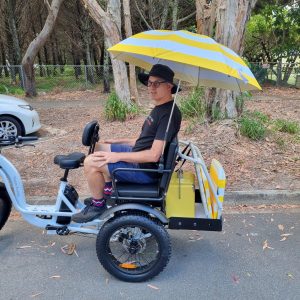 Trojan Family Fat Tyre Tricycle