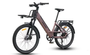 Veloomi Daily V2