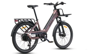 Veloomi Daily V2