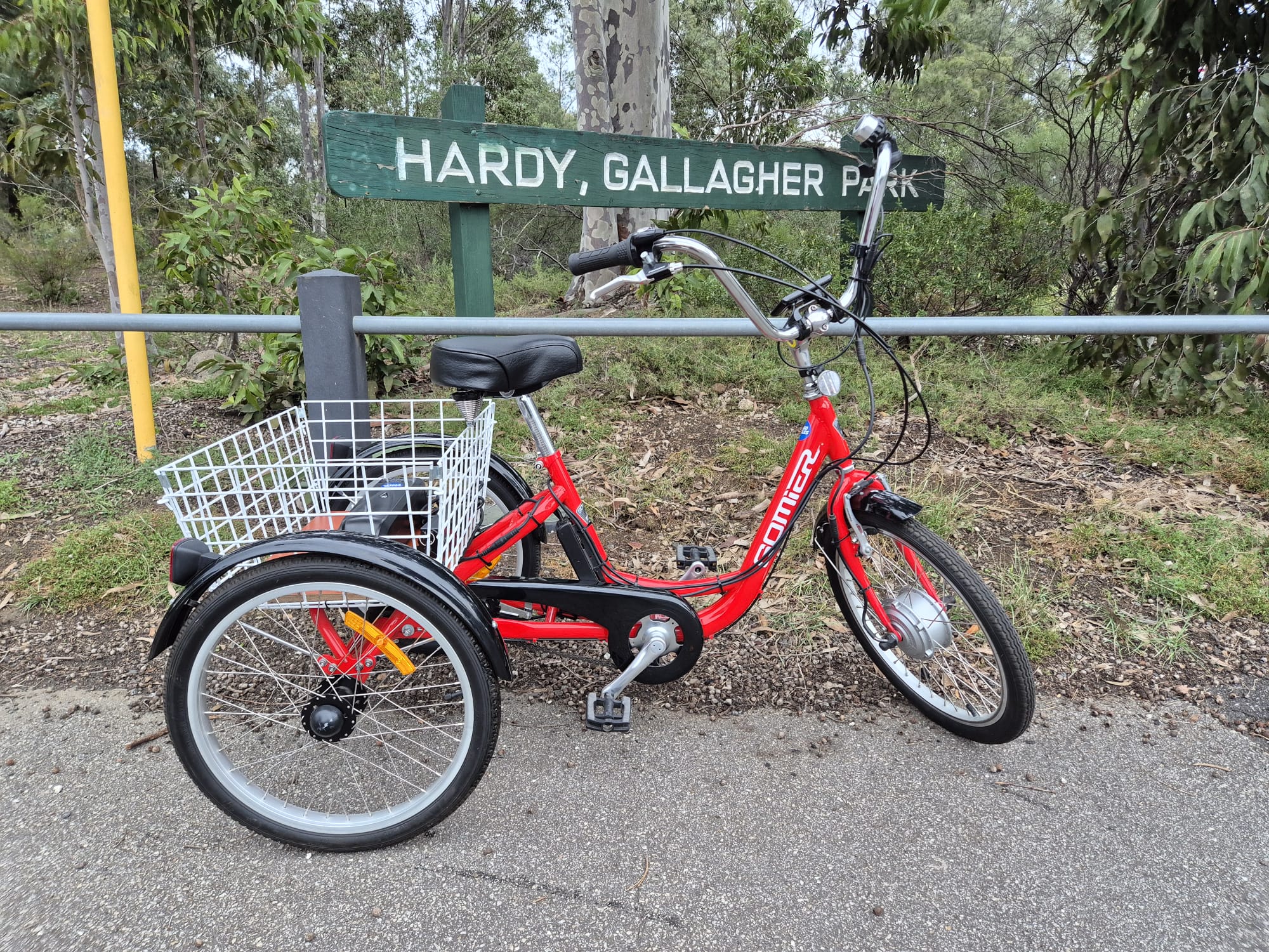 Gomier Trike 20