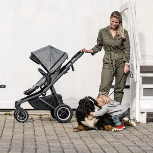 Thule Sleek Stroller Pram